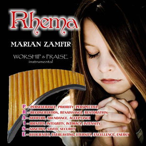 快捷优化小蛇导航
