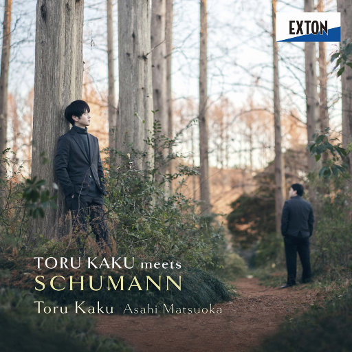 快捷优化小蛇导航
